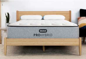 Pro Hybrid featured image