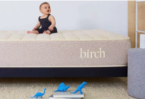 Birch Natural Mattress featured image