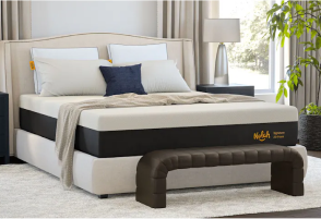 Nolah Signature featured image