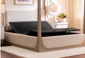 Purple Premium Plus Smart Base featured image