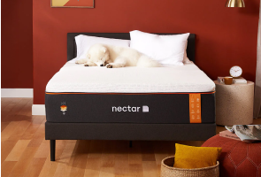 Nectar Premier Copper featured image