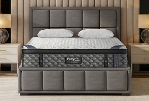Puffy Sterling Bed Frame featured image